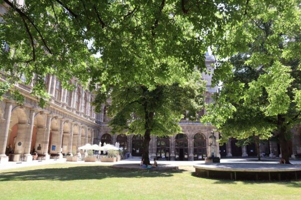 Vienna: Sigmund Freud Walking Tour - The Sum Up