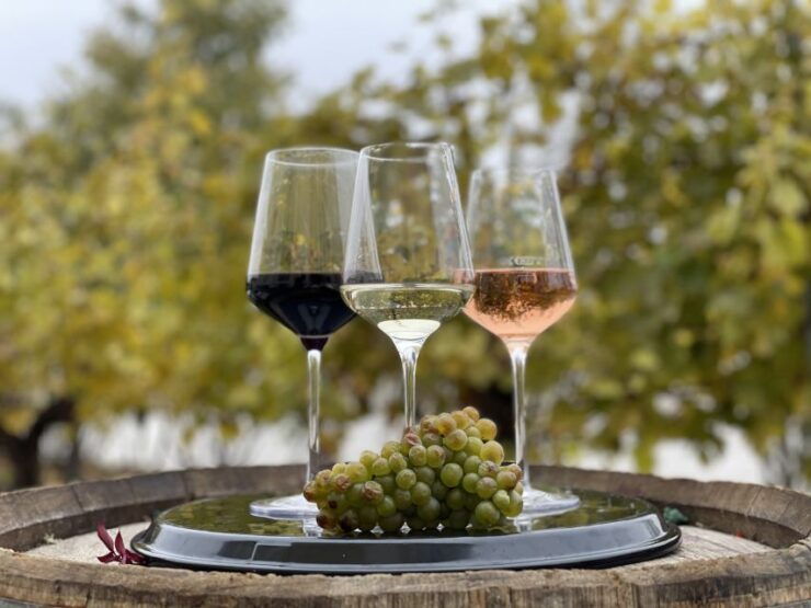 Vienna: Skip-the-Line Schönbrunn Palace Entry & Wine Tasting - Activity Details