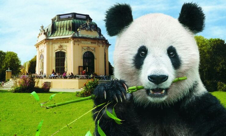 Vienna: Skip-the-line Tickets for Schönbrunn Zoo - Ticket Details