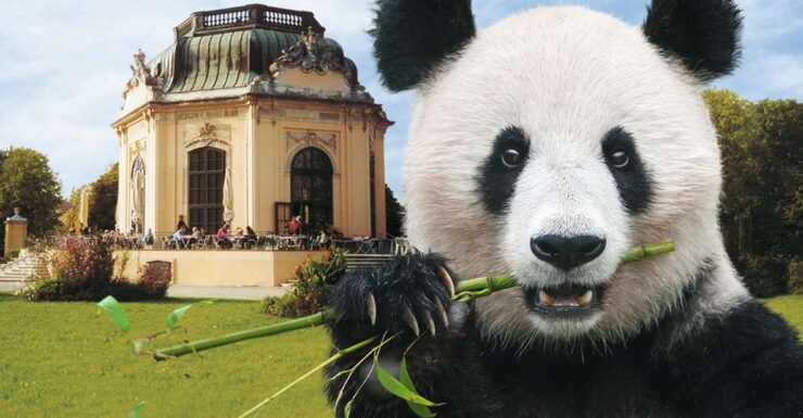Vienna: Skip-the-line Tickets for Schönbrunn Zoo - Zoo Highlights