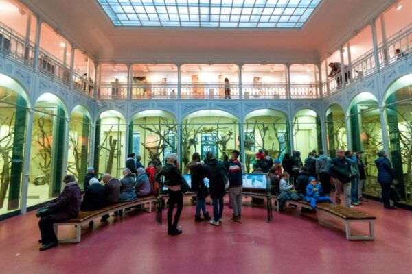 Vienna: Skip-the-line Tickets for Schönbrunn Zoo - Explore the Animal Houses