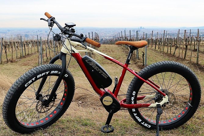 Vienna Small-Group Half-Day Electric Mountainbike Tour - Tour Overview