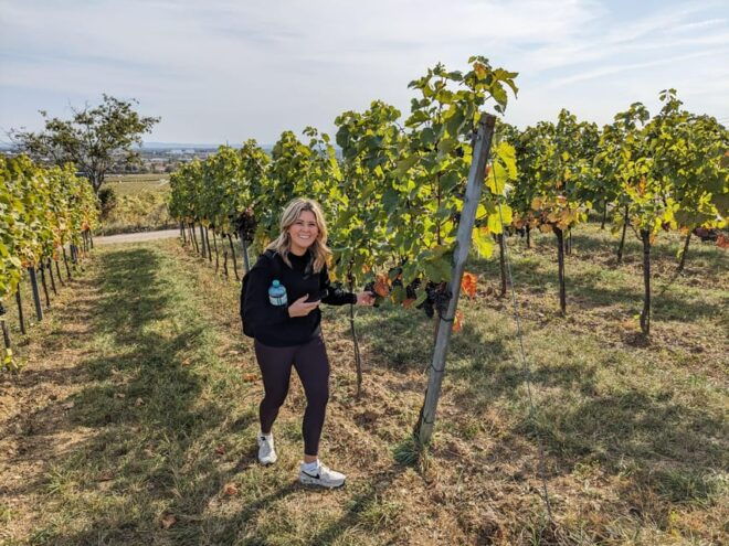Vienna: Small-Group Wine Tasting Tour - Meeting Point