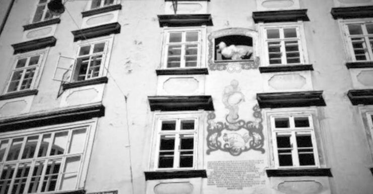 Vienna: Spooky Ghost Tour in English - Tour Details
