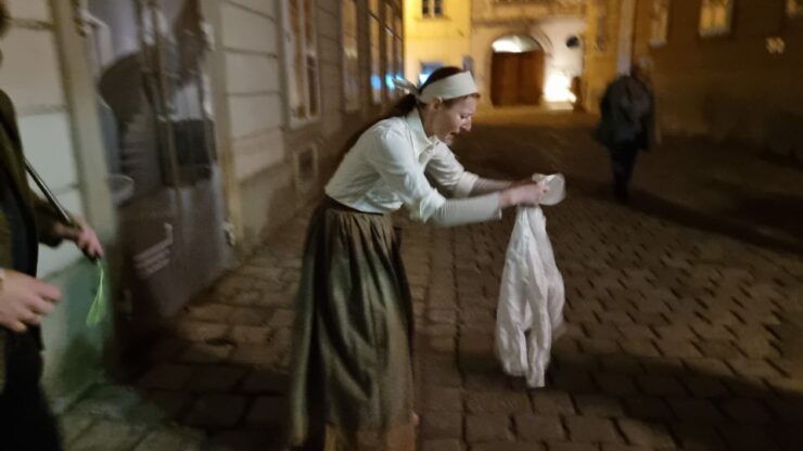 Vienna Staged City Tour - Activity Details