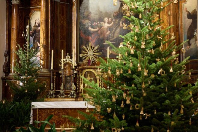 Vienna: Ticket for Christmas Concert at Capuchin Church - Location and Details