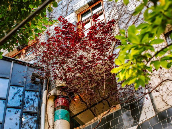 Vienna: Tickets for Kunst Haus Wien: Museum Hundertwasser - Reserve Now and Pay Later