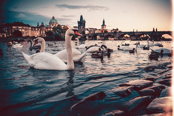 Vienna to Prague - Private Transfer With 2 Hours of Sightseeing - Traveler Photos, Reviews, and Assistance Options