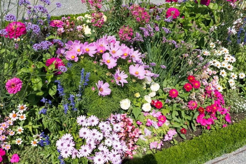 Vienna to Schloss Hof Skip-the-line Private Tour & Transport - Who Will Love This Tour?