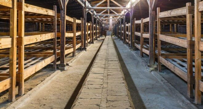 Vienna: Tour to Auschwitz Birkenau - Experience Highlights