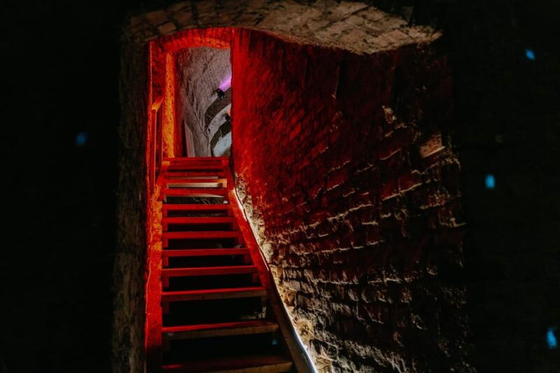 Vienna: Viennese Underworld Guided Walking Tour - Introduction