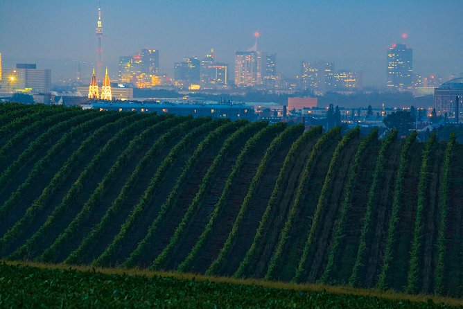 Vienna Vineyard and Danube River on Electric Bikes - Cancellation Policy