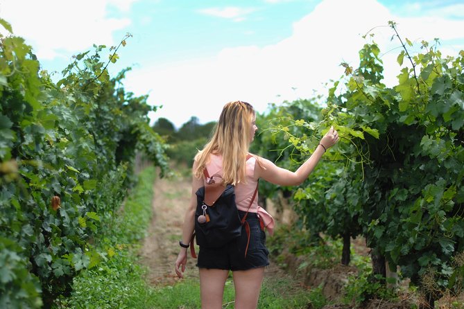 Vienna Vineyard and Danube River on Electric Bikes - Directions