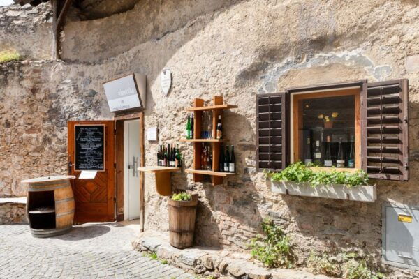 Vienna: Wachau, Melk Abbey, and Danube Valleys Tour - The Sum Up