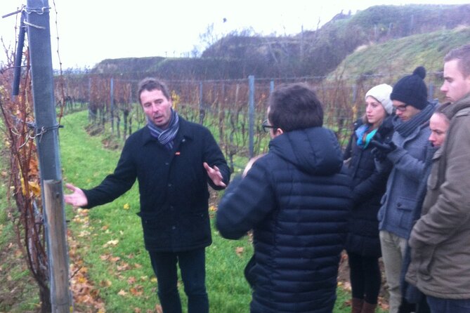 Vienna Wine Experience - Vineyard Tours