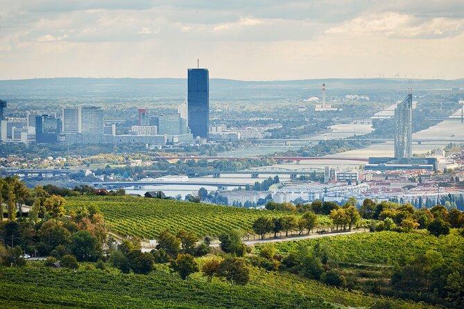 Vienna Wine Experience - Common Questions