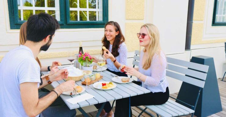 Vienna: Wine Tasting at Schönbrunn Palace - Activity Details