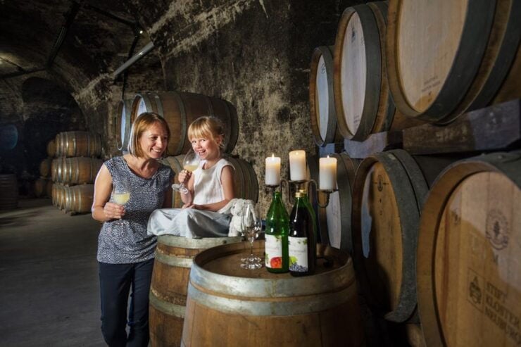 Vienna: Wine Tasting E-Bike Tour - Experience Highlights