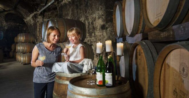 Vienna: Wine Tasting E-Bike Tour - Full Description