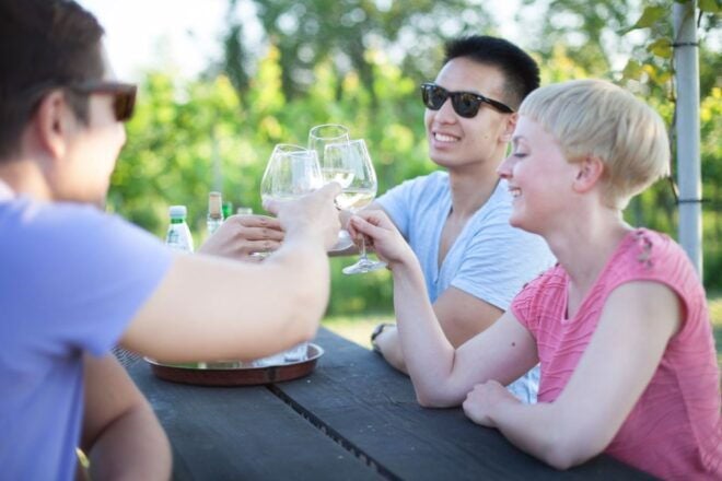 Vienna: Wine Tasting E-Bike Tour - Exploring the Danube Canal and Nussdorf