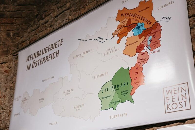 Vienna: Wine Tasting Experience in a Private Wine Cellar - Real Guest Insights  