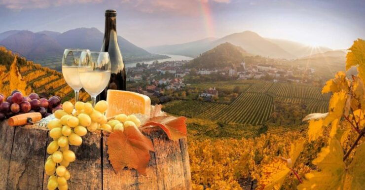 Vienna: Winery and Wine Tasting Tour With a Wine Expert - Booking Details