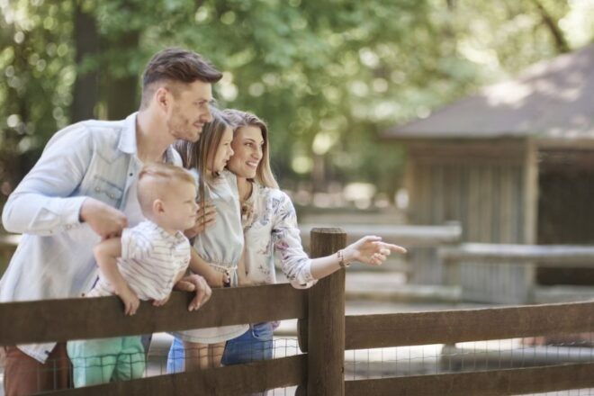 Vienna: Zoo With Private Flexible Transfers and Tickets - Important Information