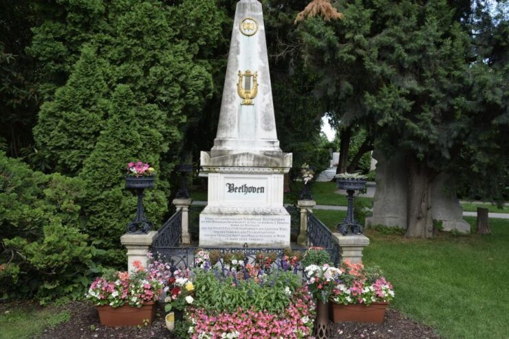 Vienna_ Meet Beethoven Life Private Guided Walking Tour - Experience