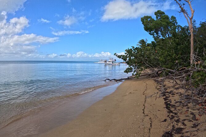 Vieques All-Inclusive: Swim with Turtles & Enjoy Pristine Beaches - Practical Considerations and Tips