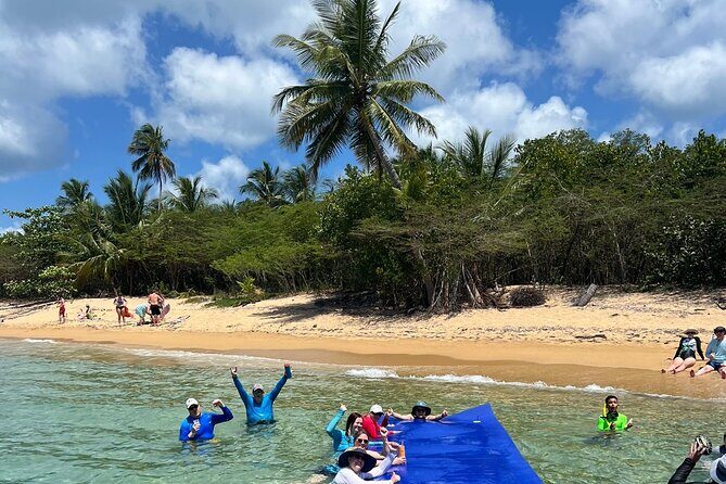 Vieques All-Inclusive: Swim with Turtles & Enjoy Pristine Beaches - Final Thoughts