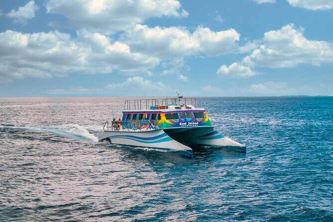 Vieques: Beach and Snorkeling Tour by Catamaran from Fajardo - The Itinerary: What to Expect
