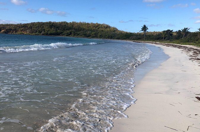 Vieques Island Rich History Tour - Final Thoughts: Who Is This Tour Best For?