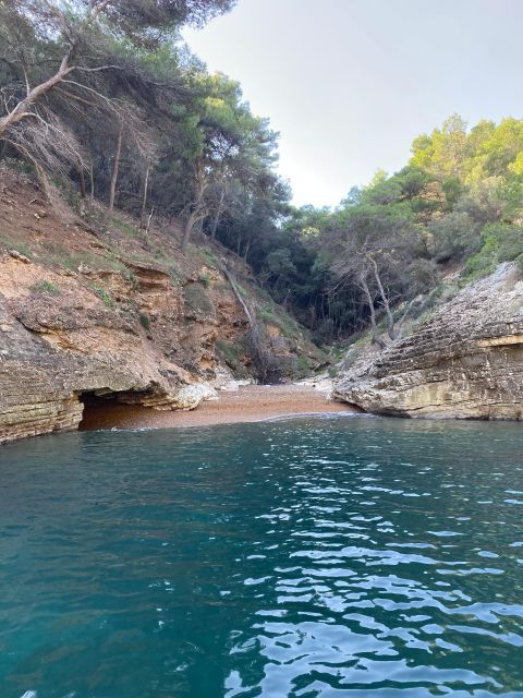 Vieste: 4 Hour Boat Rental - Customer Reviews