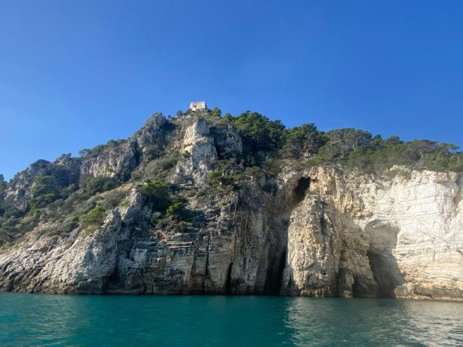 Vieste: Boat Tour of the Gargano Coast - Features and Accessibility