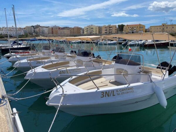 Vieste: Boat Tour of the Gargano Coast - Frequently Asked Questions