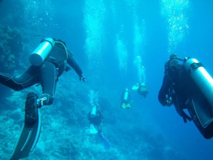 Vieste: Scuba Experience and Diving Courses - Good To Know