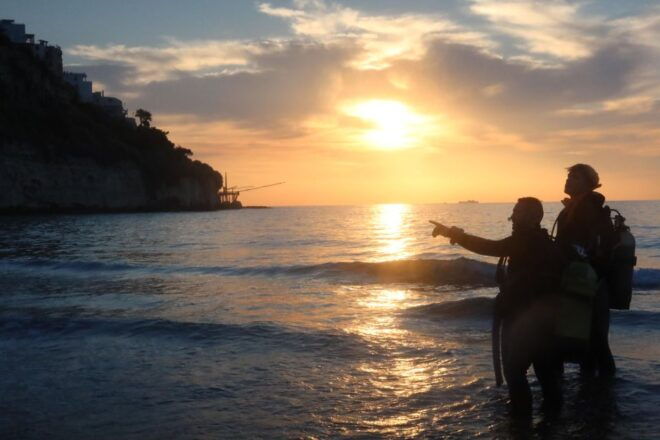 Vieste: Scuba Experience and Diving Courses - Dive Options and Highlights