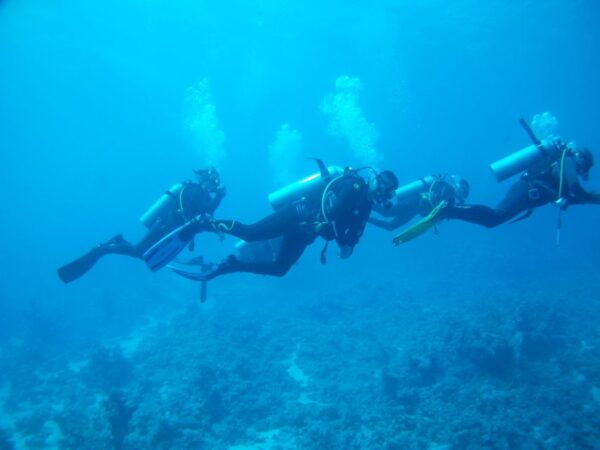 Vieste: Scuba Experience and Diving Courses - Frequently Asked Questions