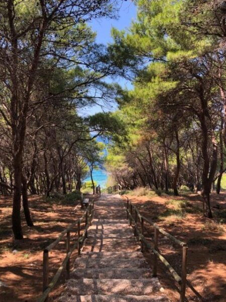 Vieste - Tremiti Islands: Private Tour by Dinghy - The Sum Up