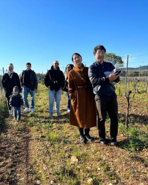 Vieste: Wine Tasting &Walk Into Vineyard to Cantine Merinum - The Sum Up