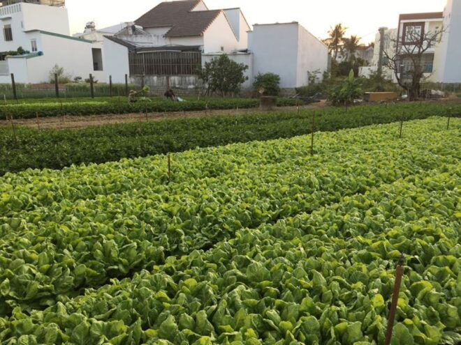 Viet Garden Cooking Class (Countryside and Market Tour) - Booking and Cancellation