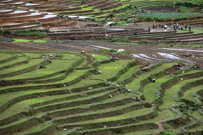 Vietnam: 14-Day Culinary Tour with Cooking Classes - Hue: The Imperial City and Royal Tombs