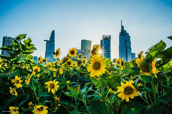 Vietnam Cultural Tour (Flânerie Indochine) - Itinerary Overview