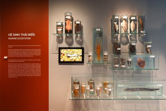 Vietnam Da Nang Museum Admission Ticket - FAQ