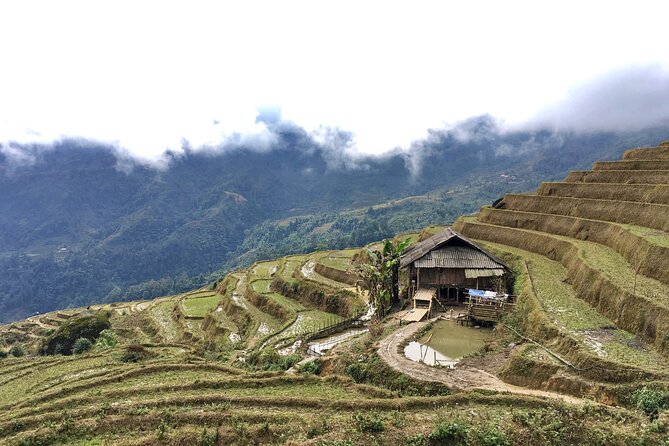 Vietnam Motorbike Tour To Sapa, Mu Cang Chai, Thac Ba-5 Days - Common Questions