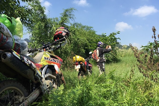 Vietnam Motorcycle Trip From Hanoi to Ninh Binh - 1 Day - Explore Ninh Binh