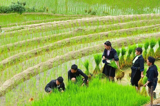 Vietnam Package Tours - Hanoi Green Travel - Destinations and Attractions