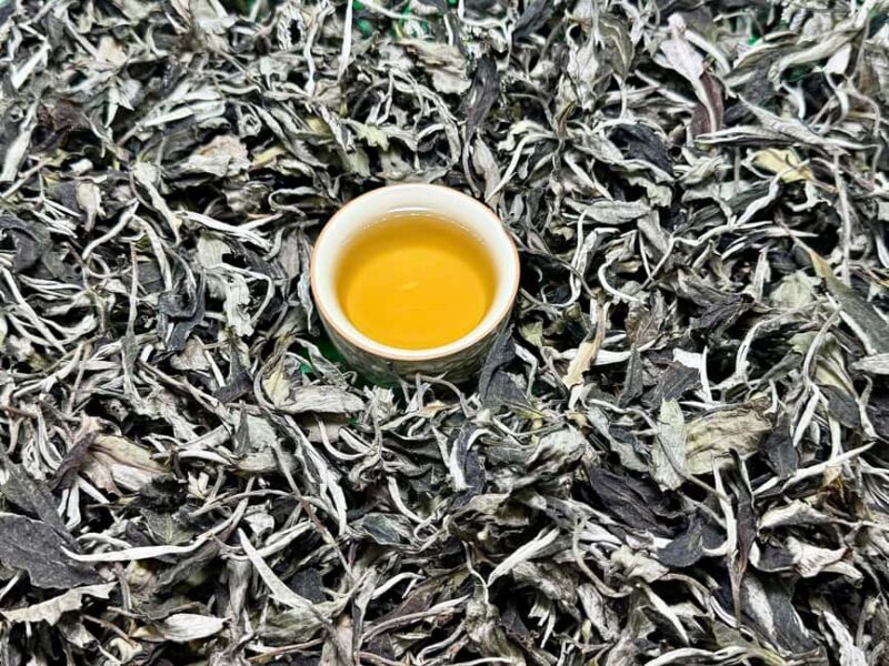 Vietnam Tea Tasting & Train Street & Lunch (Buncha & Banhmi) - Authentic Insights from Reviewers