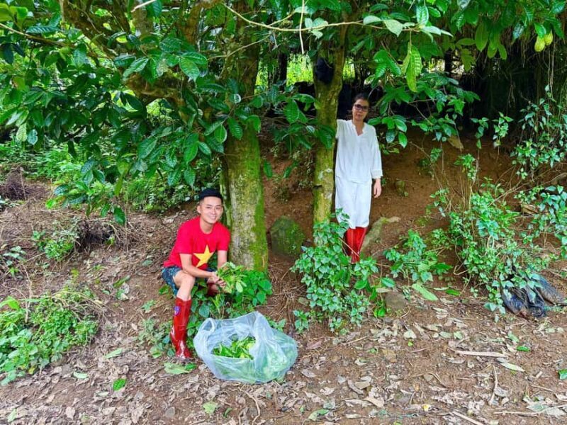 Vietnam Tea Tasting & Train Street & Lunch (Buncha & Banhmi) - Final Thoughts
