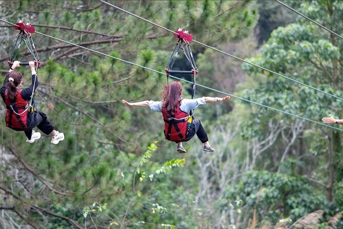 VIetnam Zipline Experience at Datanla Waterfall - An In-Depth Look at the Datanla Waterfall Zipline Experience
